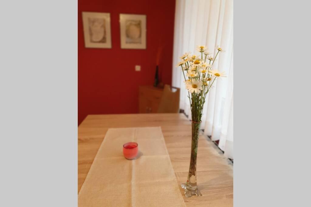 Apartma Kreda Mojstrana Exteriér fotografie