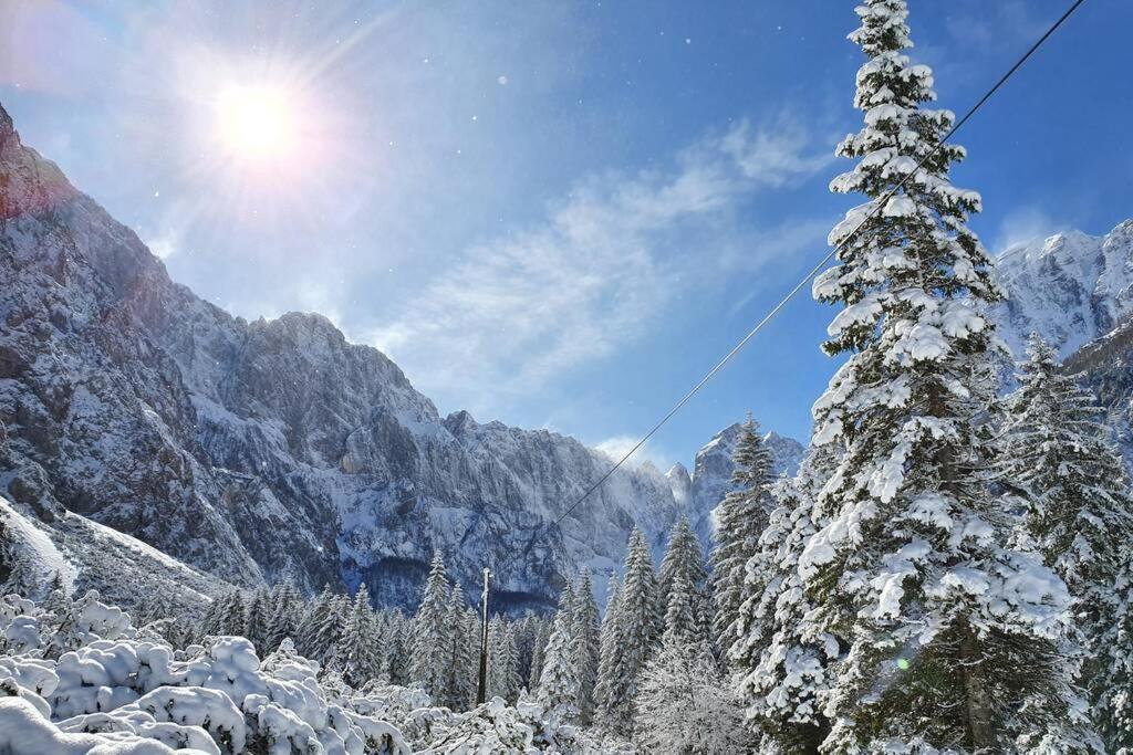 Apartma Kreda Mojstrana Exteriér fotografie
