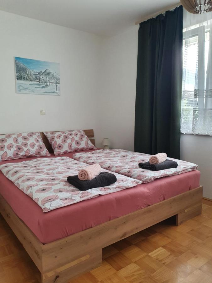 Apartma Kreda Mojstrana Exteriér fotografie